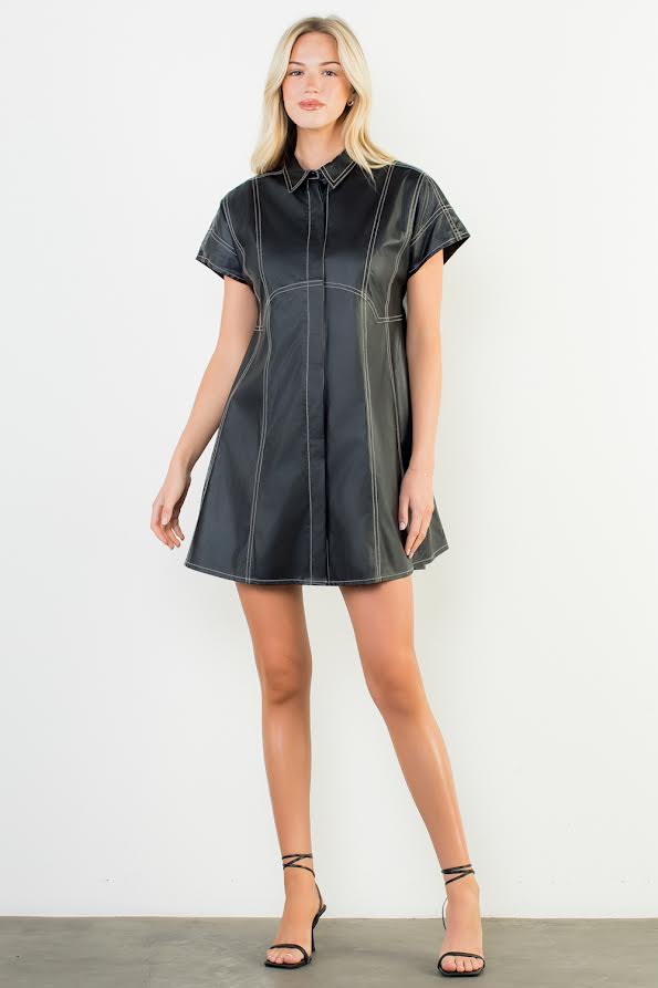 The Arlette Vegan Leather Mini Dress – A Phoenix Niche Boutique